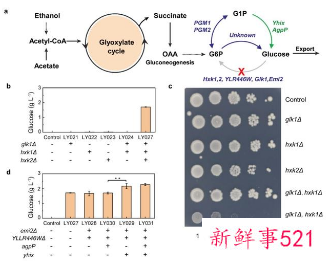 我国科学家实现二氧化碳“变废为宝”新途径