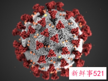 国产新冠中和抗体联合疗法价格公布