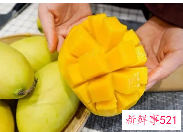 芒果熟到什么程度能吃