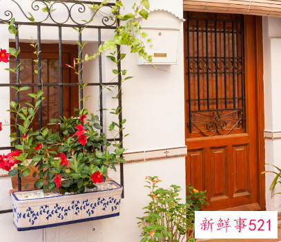 小仙女花养殖方法