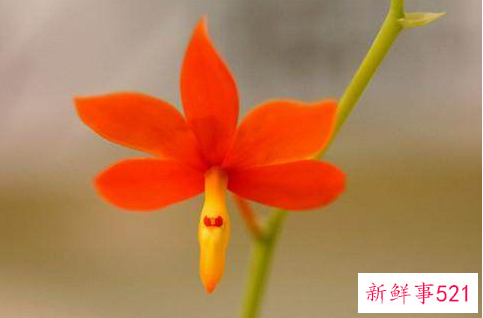 人生的精辟心情说说