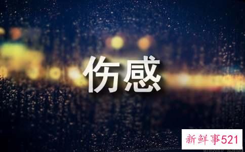 伤感感人的句子