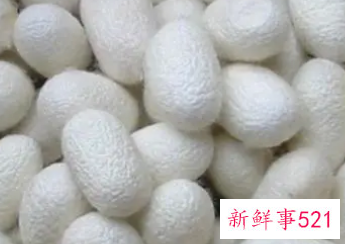 蚕丝裤保暖吗，优缺点是什么