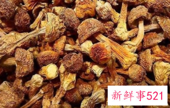 松茸的功效与作用