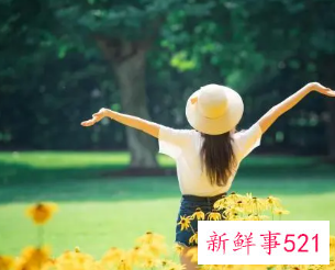 高雅有气质女人的网名