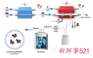 我国科学家实现二氧化碳“变废为宝”新途径