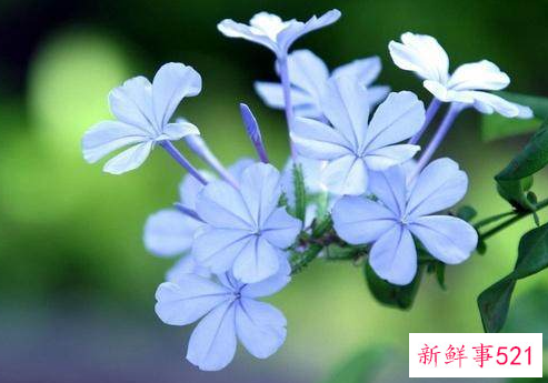 人生的精辟心情说说