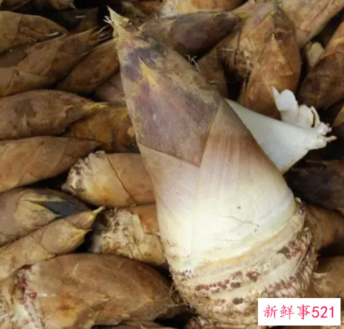 梦见毛笋有什么含义