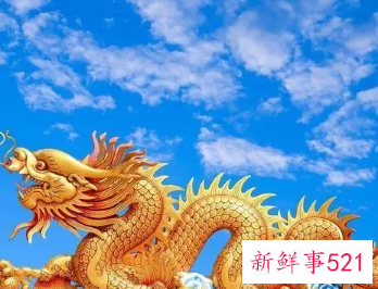 属龙的女人的弱点