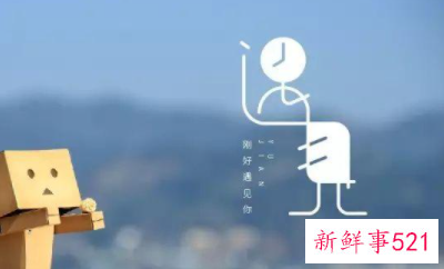 散文《最美的遇见》董卿