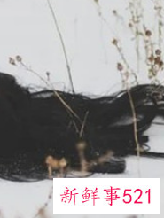 女生瓜子脸适合什么发型