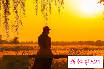 适合女生用的名字适合女生用的网名