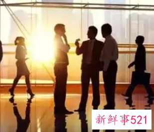 公司的管理模式