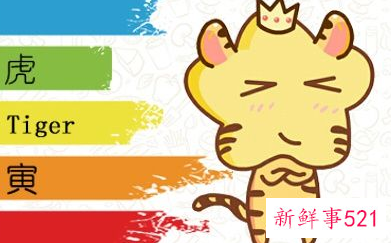 男的属虎女的属龙好不好