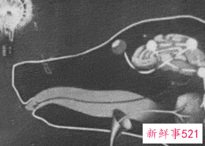 免费测试适合什么专业