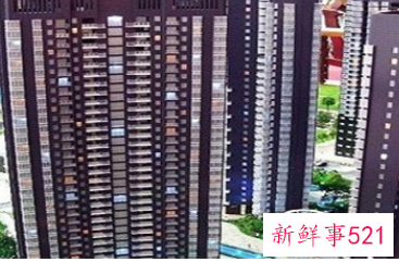 杭州集体户买房落户政策