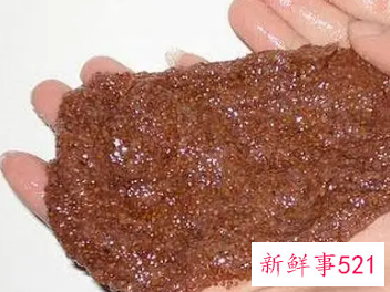 海藻面膜用什么水调好