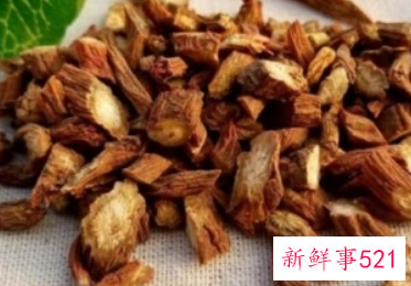 丹参的副作用与禁忌症