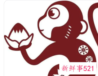 属猴的什么颜色最旺财