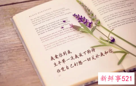 期待幸福的心情短句