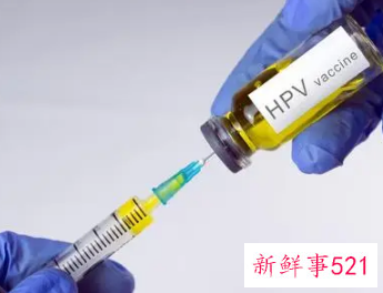 hpv疫苗怎么选择几价