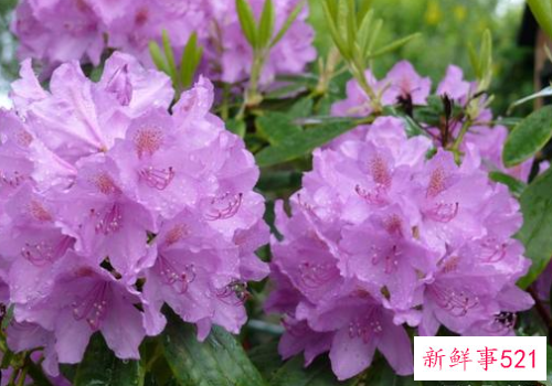 千里之外这些星座的感情又如何经得住考验