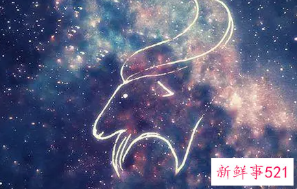 最适合做老公的星座排名榜