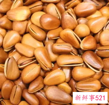 野生红松子的功效与作用