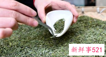 什么漆可以防霉防潮