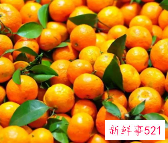 沙糖桔有什么好处