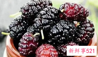 桑椹酒喝了对人有哪些坏处