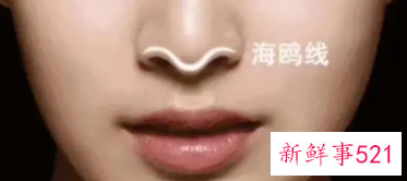 美人线是什么样子