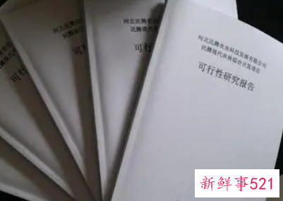 论文中的可行性分析怎么写