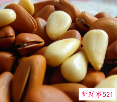 野生红松子的功效与作用