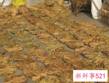 莲藕发芽到什么程度才可以种