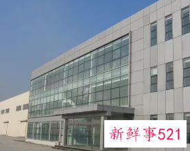 招财兴旺的公司名