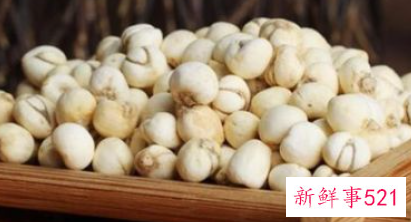 川贝母冰糖炖雪梨的禁忌