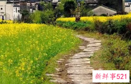 梦见小路是什么意思