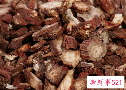 丹参的副作用与禁忌症