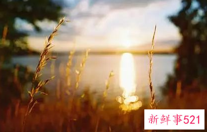 生命的选择情感美文