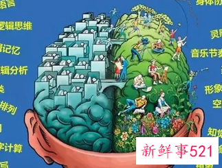 怎样开发孩子的左脑和右脑