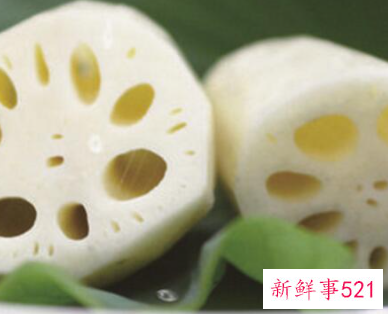 莲藕发芽到什么程度才可以种