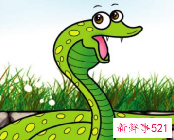 蛇在中国象征什么