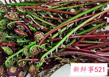 蕨菜怎么做不苦