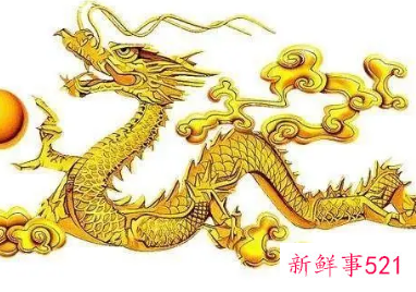 男的属虎女的属龙好不好