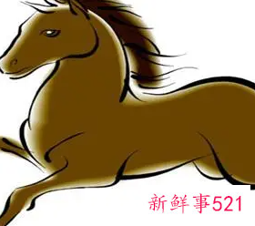 属马的宝宝起名叫宸源