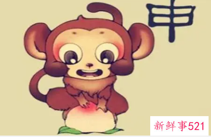 属猴的什么颜色最旺财