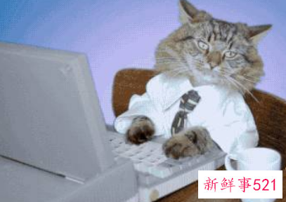 免费测试适合什么专业