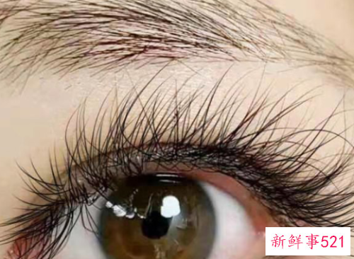 睫毛生长液有哪些