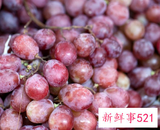 做梦梦见摘红提